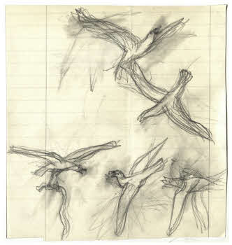 Visualizza l'immagine "FD D 175"